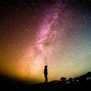 Feature image for Mindfulness for the future human