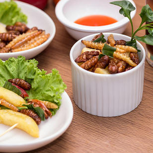Feature image for Bugs! Could insects be the future of food and feed security?