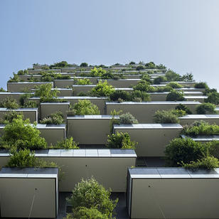 Feature image for Alternative infill housing: Can citizen-led development regenerate cities and communities?