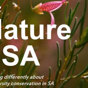 Feature image for Connecting South Australians to Nature: The Nature of SA