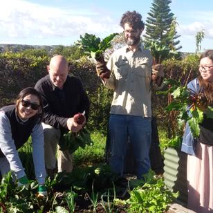 Feature image for Community Garden Exchange