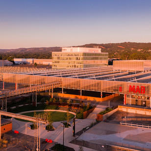 Feature image for Tonsley Smart City: The future of Live Work Play
