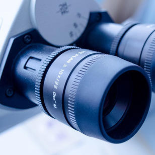 Feature image for The Benefits of Nano Biotechnology with Prof. Oded Shoseyov